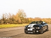 Photo Of The Day Ford GT vs Shelby GT500 Supersnake 008